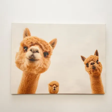 Quarto em Acomodações Particulares Mmrent Branden *