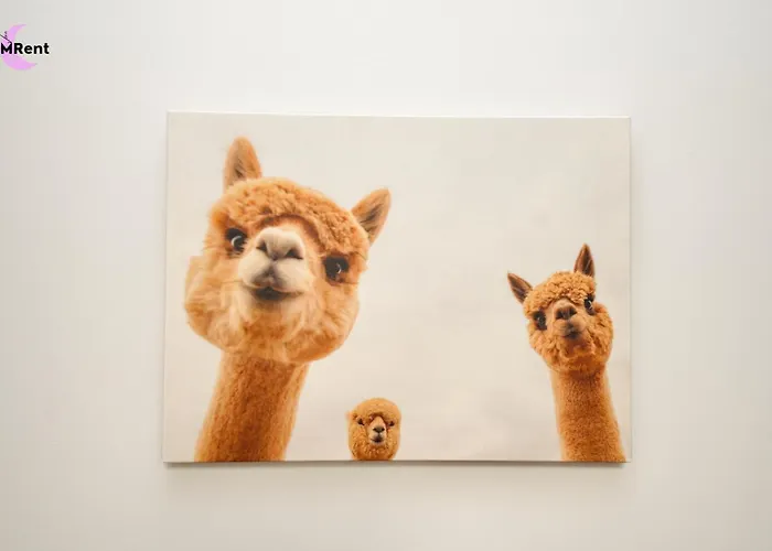 Quarto em Acomodações Particulares Mmrent Branden *